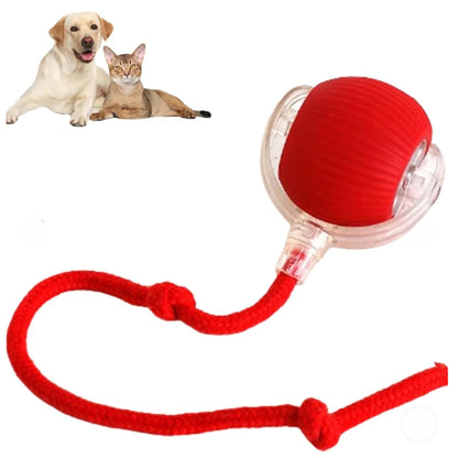 King Crown Pets™ | Interactive Pet Toy Ball