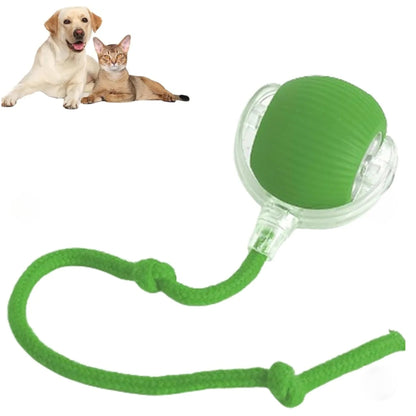 King Crown Pets™ | Interactive Pet Toy Ball